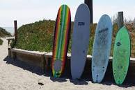 surfdonkey surfboard rentals lawencetown beach